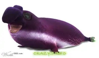 >>Click to zoom image<<