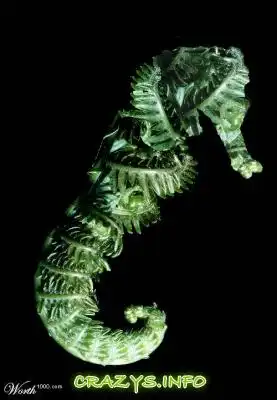 >>Click to zoom image<<