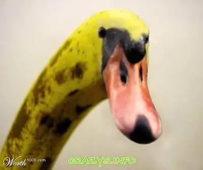 >>Click to zoom image<<