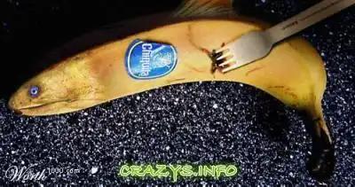 >>Click to zoom image<<