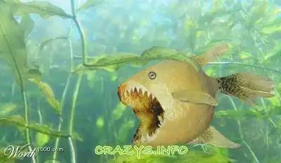 >>Click to zoom image<<