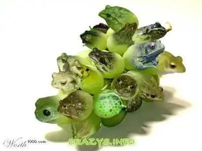 >>Click to zoom image<<