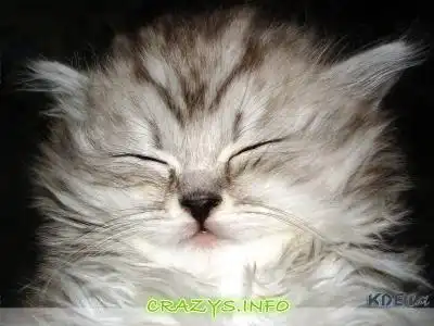 &gt;&gt;Click to zoom to HQ image&lt;&lt;