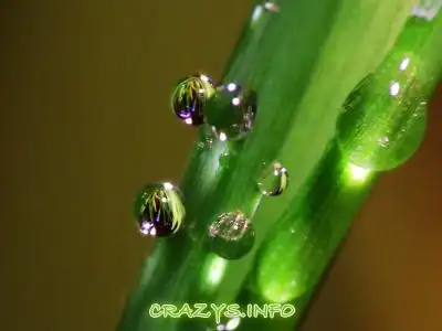 &gt;&gt;Click to zoom to HQ image&lt;&lt;