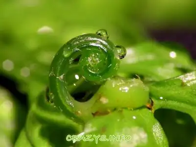 &gt;&gt;Click to zoom to HQ image&lt;&lt;