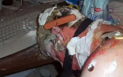 Хорошие друзья...