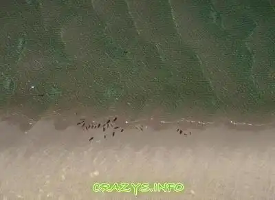 &gt;&gt;Click to zoom image&lt;&lt;