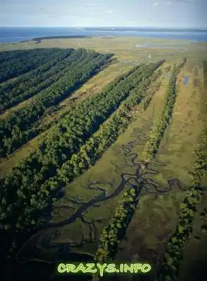 &gt;&gt;Click to zoom image&lt;&lt;