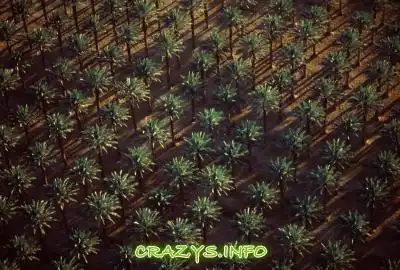 &gt;&gt;Click to zoom image&lt;&lt;